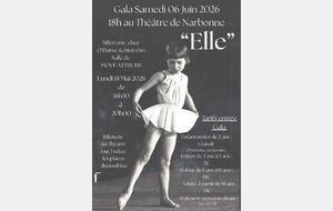Gala de danse
